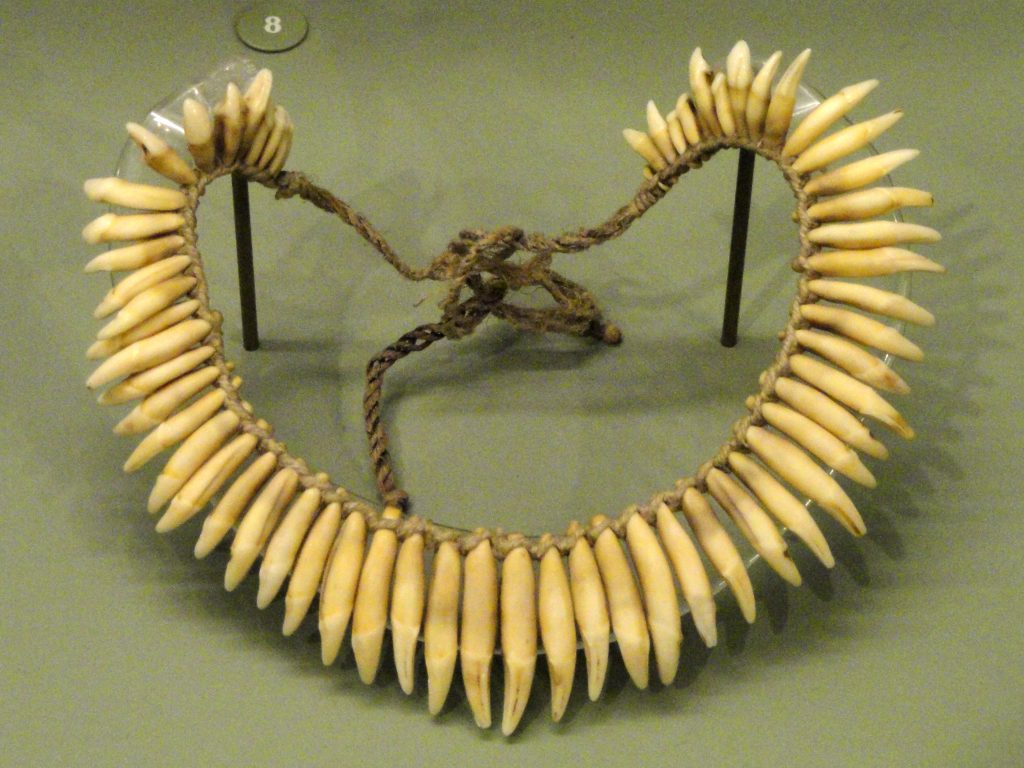 teeth