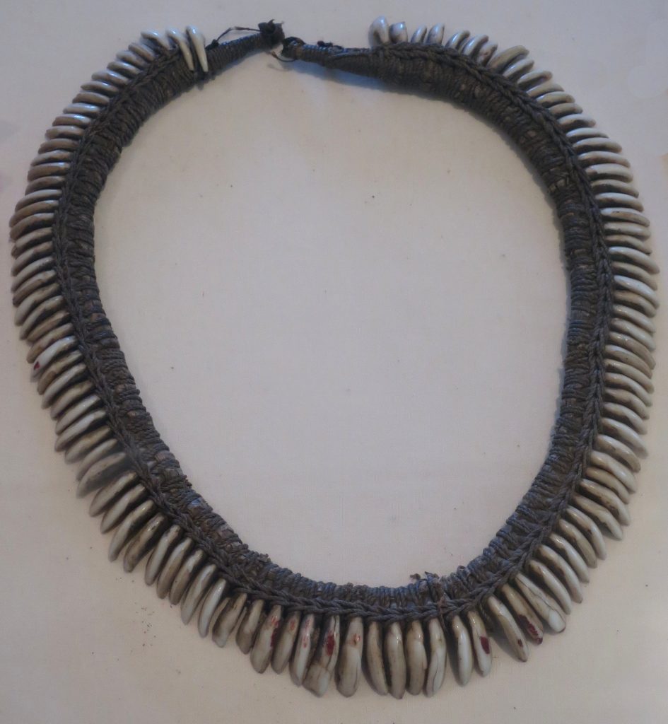 teeth
